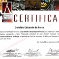 Ampliar imagem: certificate 87