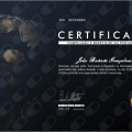 Ampliar imagem: certificate 9
