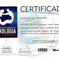 Ampliar imagem: certificate 146