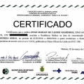 Ampliar imagem: certificate 3