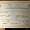 Ampliar imagem: certificate 4