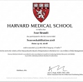 Ampliar imagem: certificate 3