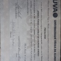 Ampliar imagem: certificate 7