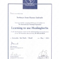 Ampliar imagem: certificate 12