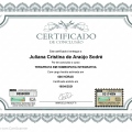 Ampliar imagem: certificate 4