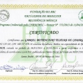 Ampliar imagem: certificate 2