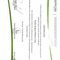Ampliar imagem: certificate 12