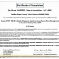 Ampliar imagem: certificate 1