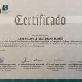 Ampliar imagem: certificate 1