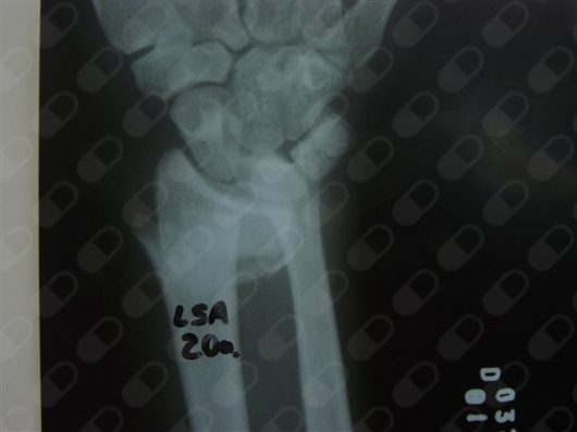 Samir Haikal Junior-31