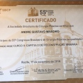Ampliar imagem: certificate 7