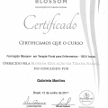 Ampliar imagem: certificate 5