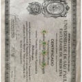 Ampliar imagem: certificate 3