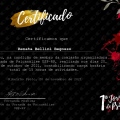Ampliar imagem: certificate 4