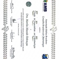 Ampliar imagem: certificate 1