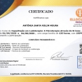 Ampliar imagem: certificate 38