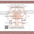 Ampliar imagem: certificate 1