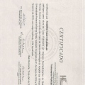 Ampliar imagem: certificate 4