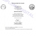 Ampliar imagem: certificate 5