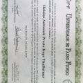 Ampliar imagem: certificate 1