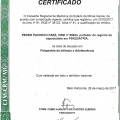 Ampliar imagem: certificate 5