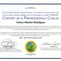 Ampliar imagem: certificate 9