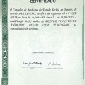 Ampliar imagem: certificate 1