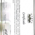 Ampliar imagem: certificate 3
