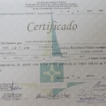 Ampliar imagem: certificate 1