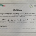 Ampliar imagem: certificate 7