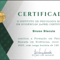 Ampliar imagem: certificate 5
