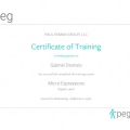 Ampliar imagem: certificate 2