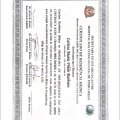 Ampliar imagem: certificate 3