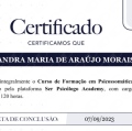 Ampliar imagem: certificate 6