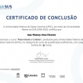 Ampliar imagem: certificate 7