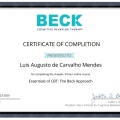 Ampliar imagem: certificate 4