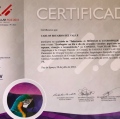 Ampliar imagem: certificate 13