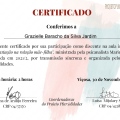 Ampliar imagem: certificate 10