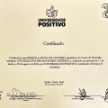 Ampliar imagem: certificate 6