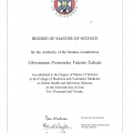 Ampliar imagem: certificate 4