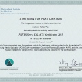 Ampliar imagem: certificate 8