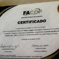 Ampliar imagem: certificate 12