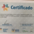 Ampliar imagem: certificate 4
