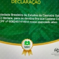Ampliar imagem: certificate 5