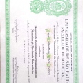 Ampliar imagem: certificate 1