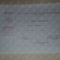 Ampliar imagem: certificate 81