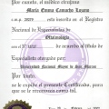 Ampliar imagem: certificate 2
