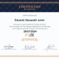 Ampliar imagem: certificate 45