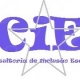 Consultoria de Inclusão Escolar