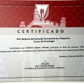 Ampliar imagem: certificate 27
